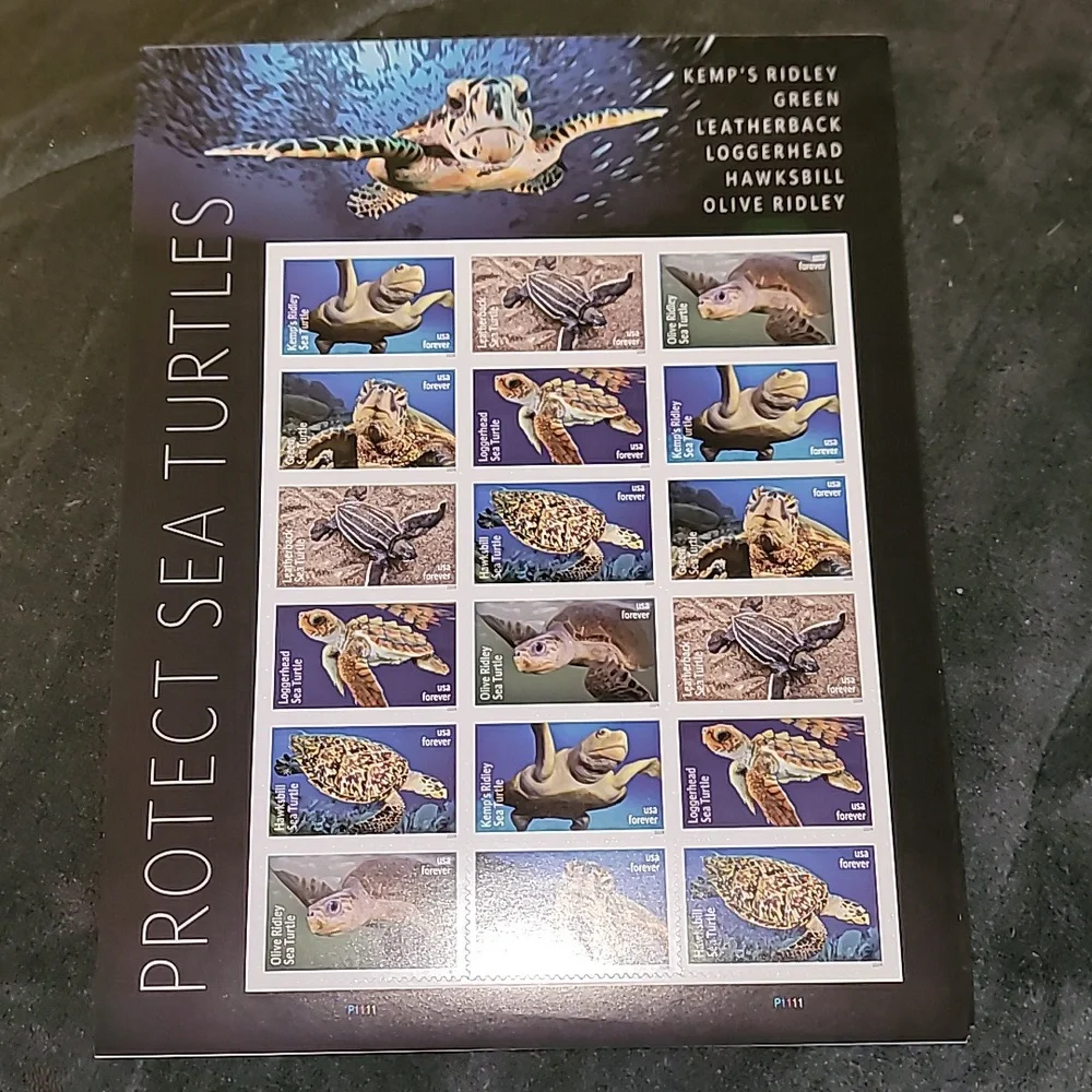 90 Protect Sea Turtles Forever Postage Stamps USPS‎ Wedding Invitations 2024